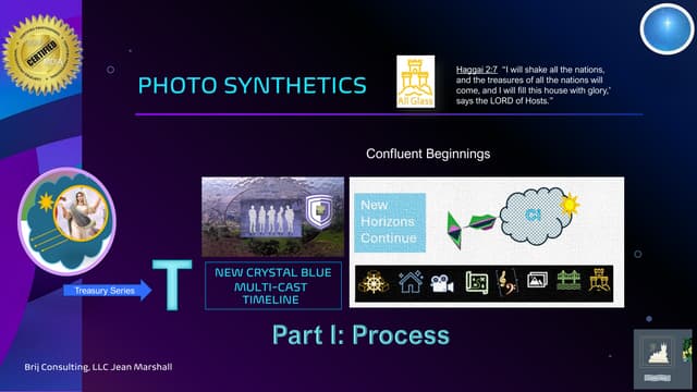 Photosynthetics (Treasury) Part I Process.pdf