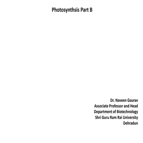Photosynthsis b
