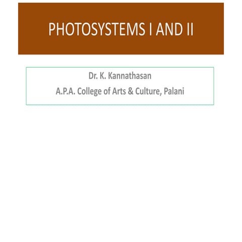 Photosystems i and ii