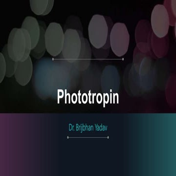 Phototropin