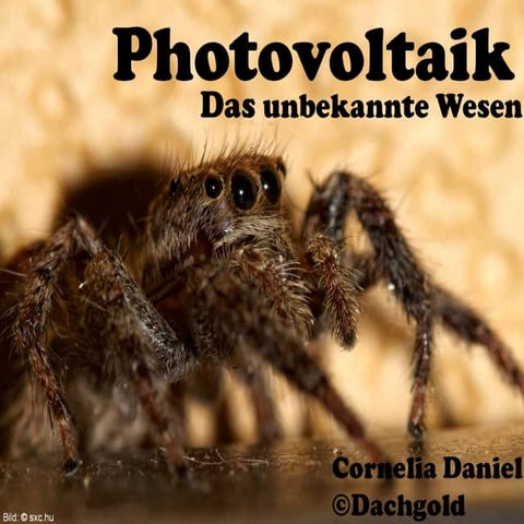 Photovoltaik das unbekannte Wesen
