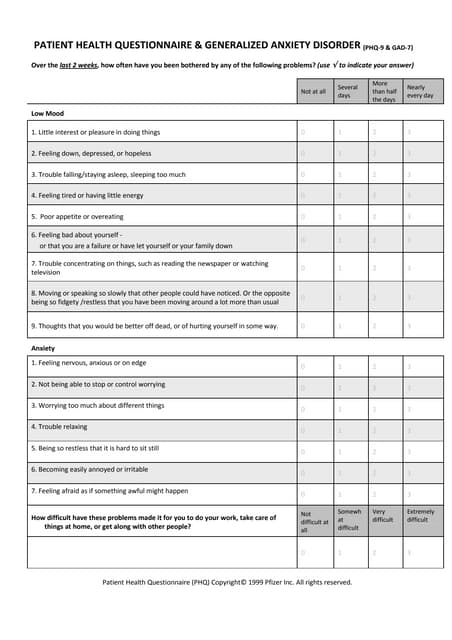 Combined PHQ9 and GAD7 (17 items)