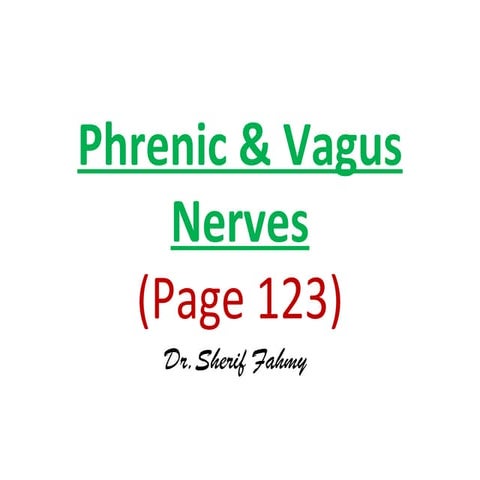 Phrenic Nerve & Vagus Nerve (Anatomy of he Thorax)