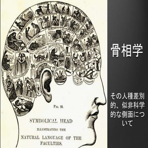 骨相学 Phrenology | PPTX