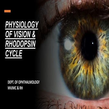 PHSIO OF VISION in Ophthalmology in detail