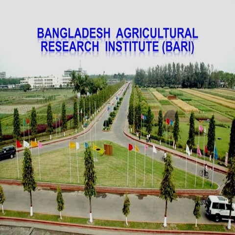 Introduction to postharvest management and technology