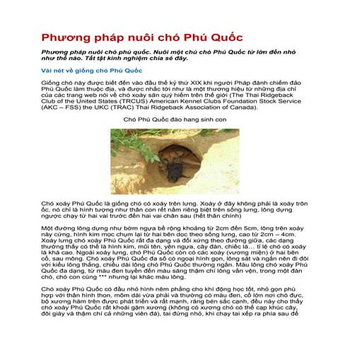 Cho Phu Quoc - Phuong phap nuoi cho Phu Quoc