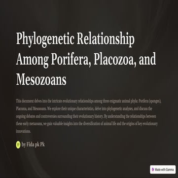 Phylogenetic-Relationship-Among-Porifera-Placozoa-and-Mesozoans.pdf