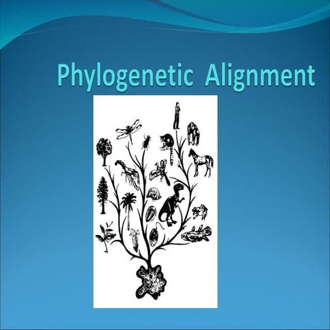 Phylogenetic alignment analysis an important tool in computational biology