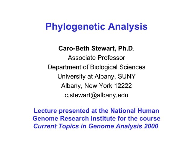 Phylogenetic analysis