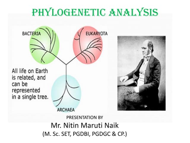 Phylogenetic analysis 