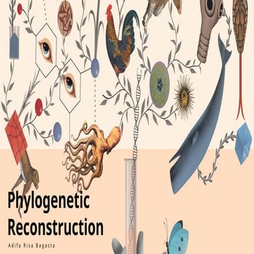Phylogenetic reconstruction EKOLOGI.pptx