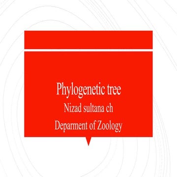 Phylogenetic Tree Definition Types Steps Methods Uses
