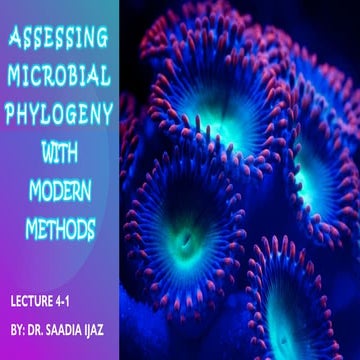 phylogeny with modern methods explanation with examples