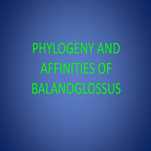 Phylogeny and affinities of balanoglossus
