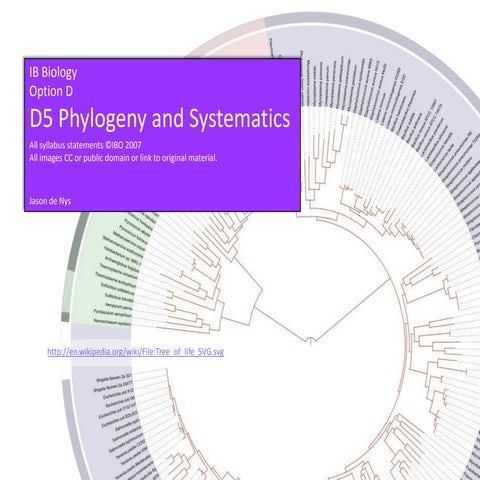 IB Biology Option D.5: Phylogeny and systematics