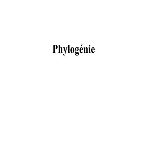 Phylogénie PPT