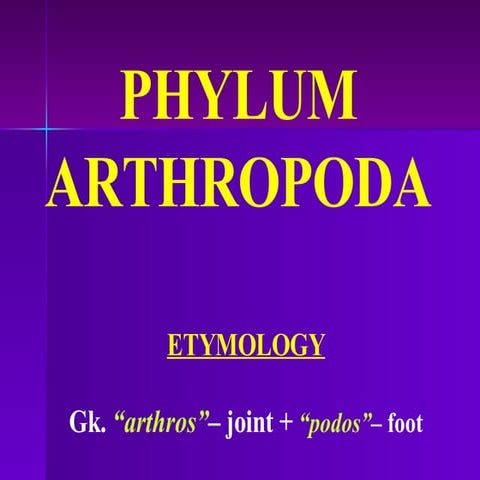 Phylum Arthropoda