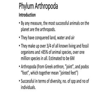 Phylum-Arthropoda 1.pptx