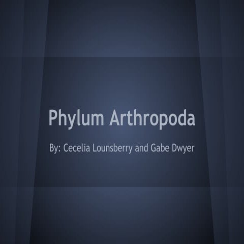 Phylum Arthropoda