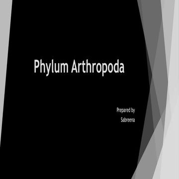 Phylum arthropoda