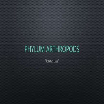Phylum arthropoda characteristics