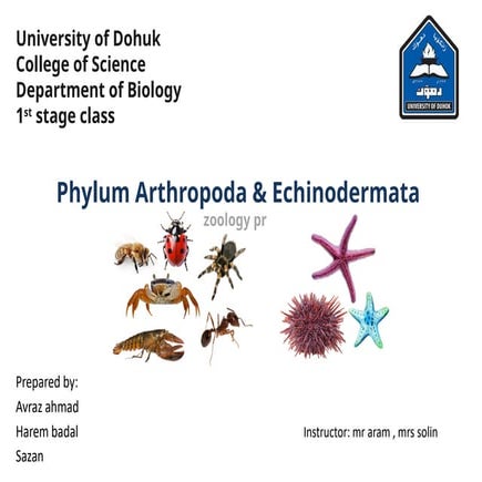 Arthropoda characters & classification | PPTX