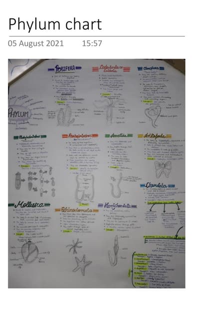 BIOLOGY PROJECT FILE.pdf