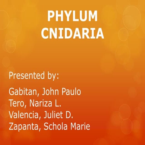 PHYLUM CNIDARIA | PPTX