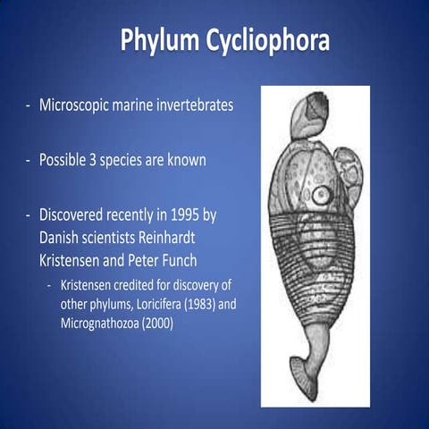 Phylum Cycliophora