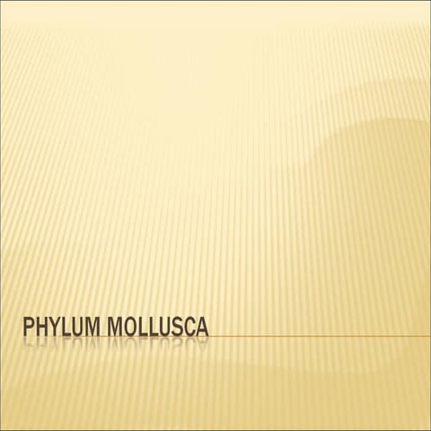 Phylum mollusca 2014