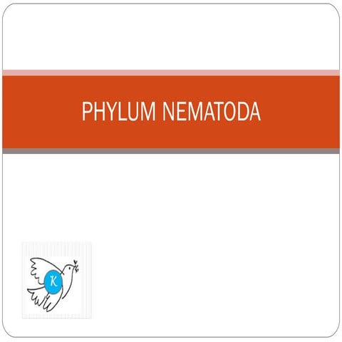 Phylum nematoda