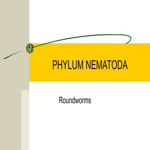 Phylum nematoda (1)