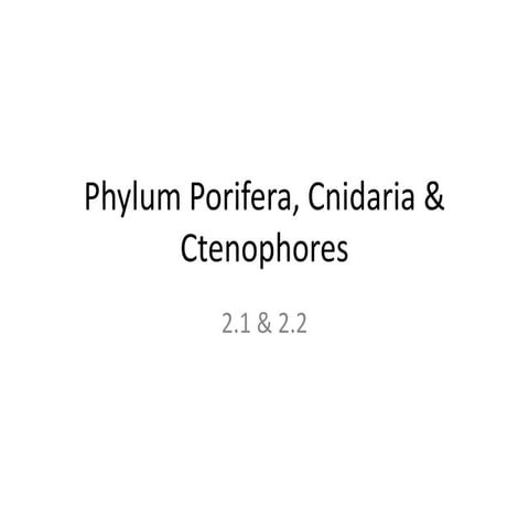 Phylum Porifera, Cnidaria & Ctenophores