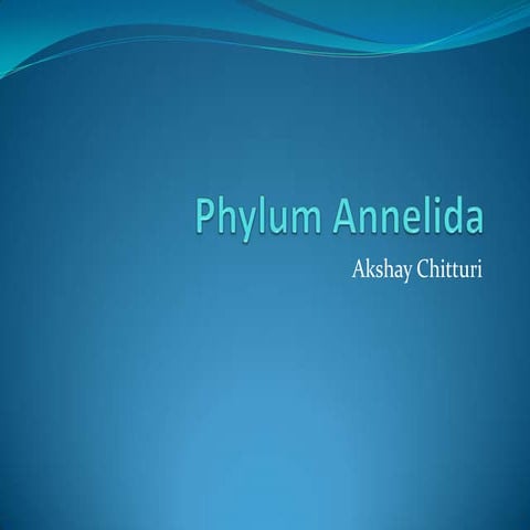 Phylum Presentation - Annelida