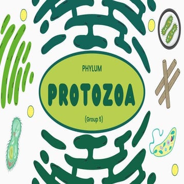 Phylum Protozoa.pdf. General zoology pro