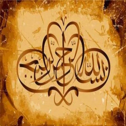 Physical behavior of soil