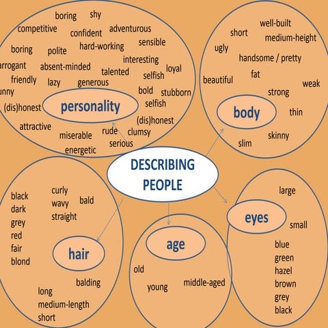 Physical description vocabulary