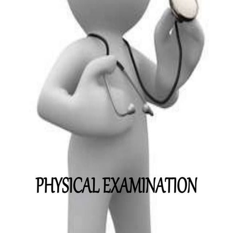 Physical examination abdomen, musculoskeletal and neurological system