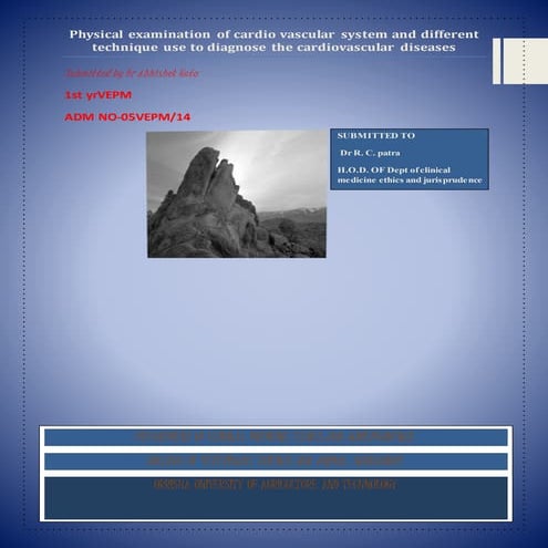 4 pulse taking | PDF