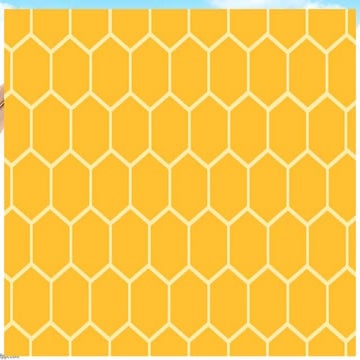 Physics 10 Code 50 MIRRORS COT.pptx