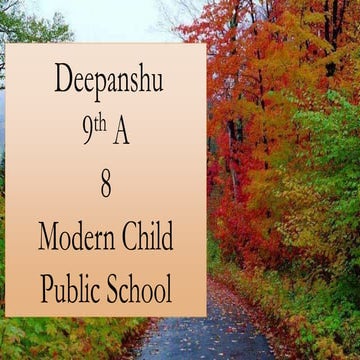 Physics conservation of momentum