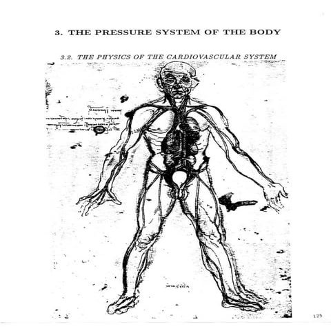 Physics of the cardiovascular system
