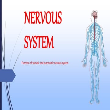 NERVOUS SYSTEM and it's division