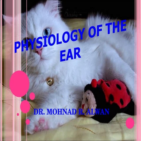 Physio   ear