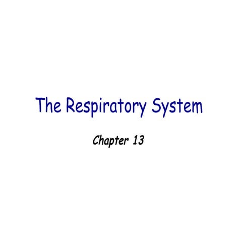 Physio chapter 13     lungs