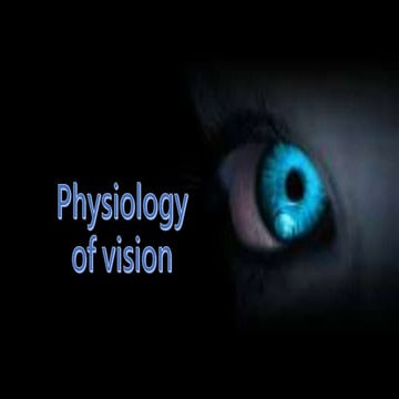 Physiology of vision