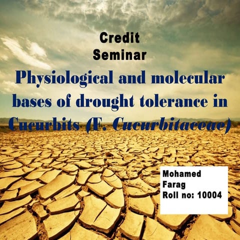 Physiological and molecular bases of drought tolerance in cucurbits (f. cucur...