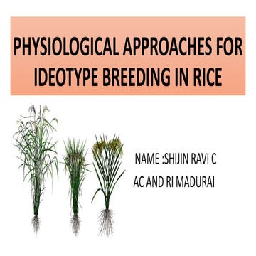 PHYSIOLOGICAL APPROACHES FOR IDEOTYPE BREEDING IN RICE.pptx