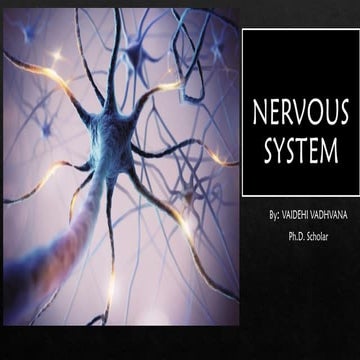 Physiological aspects of Human Nervous System